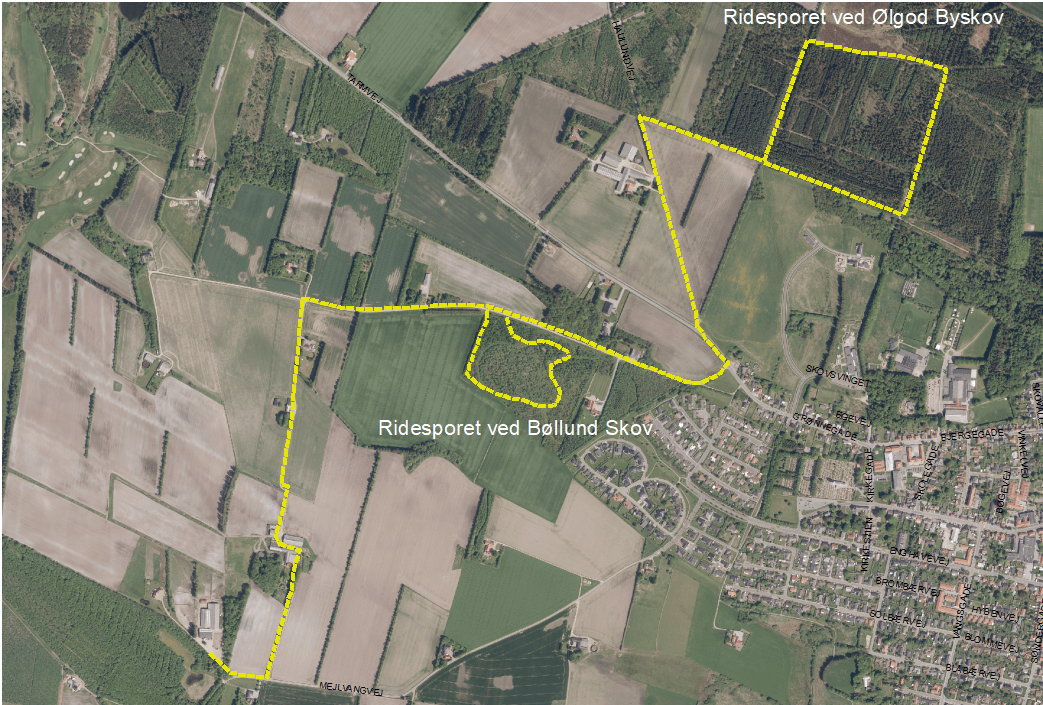 Hele-ridesporet-ved-Ølgod-Byskov