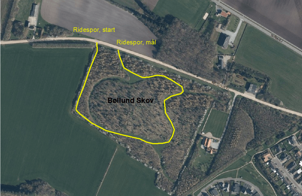 Ridespor-Bøllund-skov